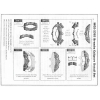 Zaciski hamulcowe Brembo wraz z klockami - The Model Car Garage MCG-2303
